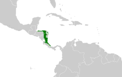 Distribución geográfica del cotinga níveo.
