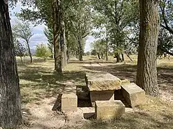 Arboleda de Carralambra