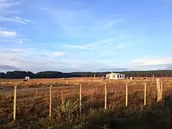 Camino a la reserva de lobos Marino.