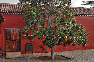 Museo Casa del Vino en La Baranda.