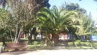 Vista del parque