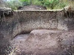 Detalle del «basurero» donde se encontraron restos de cachas de navaja, fichas de juegos y cerámica usada por los habitantes del castro