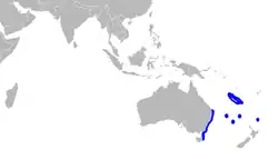Range of dumb gulper shark (in blue)