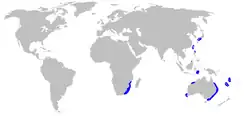 Range of smallfin gulper shark (in blue)