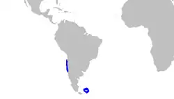 Rango de distribución del tollo granulado.