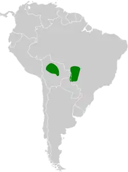 Distribución geográfica del hormiguero de Mato Grosso.