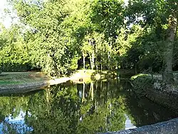 Estanque en el parque