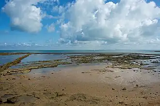Playa de las Canteras.