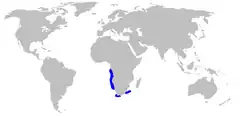 Área de distribución del tiburón anguila del sur de África