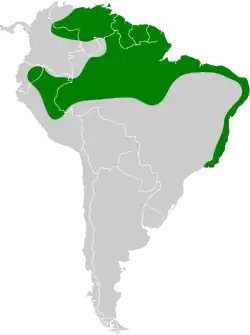 Distribución geográfica de la esmeralda gorgiazul