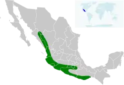 Distribución geográfica de la esmeralda mexicana.