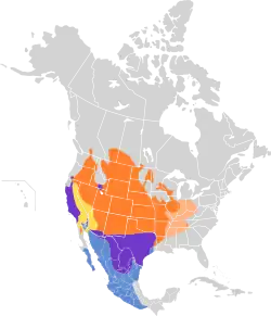      Área de nidificación     Área de nidificación (poco común)     Presente todo el año     En vuelo migratorio     Área de invernada