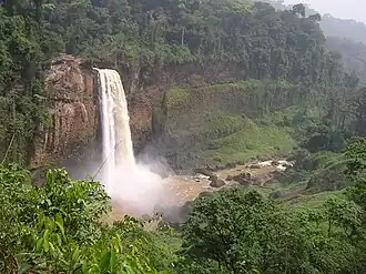 Cascadas de Ekom Nkam en el Parque nacional de Korup