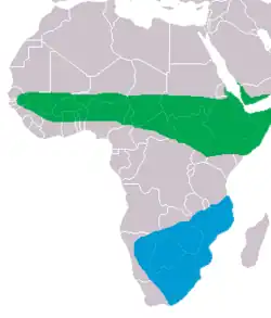 alt=Verde área de verano, azul en invierno.