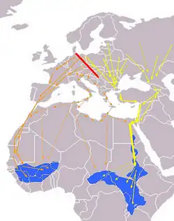 Rutas migratorias europeas/africanas. &nbsp;&nbsp;&nbsp;&nbsp;&nbsp;&nbsp;&nbsp;&nbsp;&nbsp;&nbsp;&nbsp;&nbsp;&nbsp;&nbsp;&nbsp;&nbsp;&nbsp;&nbsp;&nbsp;&nbsp; Límite entre migraciones.&nbsp;&nbsp;&nbsp;&nbsp;&nbsp;&nbsp;&nbsp;&nbsp;&nbsp;&nbsp;&nbsp;&nbsp;&nbsp;&nbsp;&nbsp;&nbsp;&nbsp;&nbsp;&nbsp;&nbsp; Rutas occidentales.&nbsp;&nbsp;&nbsp;&nbsp;&nbsp;&nbsp;&nbsp;&nbsp;&nbsp;&nbsp;&nbsp;&nbsp;&nbsp;&nbsp;&nbsp;&nbsp;&nbsp;&nbsp;&nbsp;&nbsp; Rutas orientales.