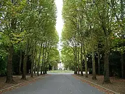 Vista de la avenida central