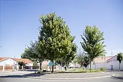 Ciudad Jardín en 2025