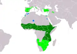 Distribución de Clamator glandarius