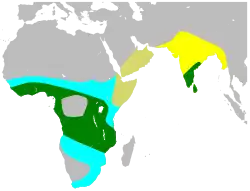 Solo en verano De paso Residente