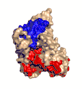 Estructura cristalina de la toxina alfa de C. perfringens publicada en el Protein Data Bank (PDB: 1CA1)