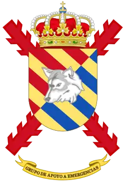 Grupo de Apoyo a Emergencias (GAEM) RAIEM
