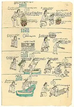 Folio 60 recto Castigos y tareas de los niños de 11 a 14 años de edad.