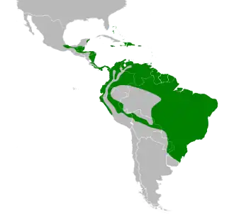 Distribución geográfica del platanero.