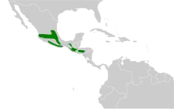 Distribución geográfica del colibrí verdemar.