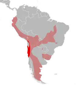 Distribución geográfica de Leopardus colocolo. En rojo la zona de distribución de la que podría ser especie endémica de Chile. Más claro, la distribución de la especie tomada en sentido amplio, según IUCN[2]​