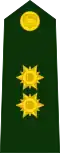 General de brigada del Ejército.