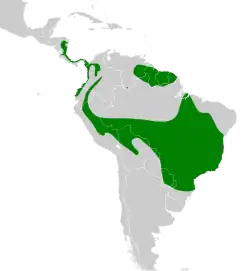 Distribución geográfica del mosquero colilargo.