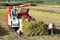 Un recolector de arroz de Kubota en acción