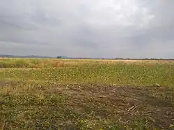 Complejo endorreico La Lantejuela