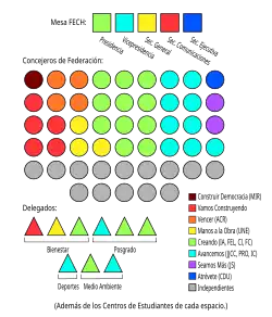 Pleno de Federación FECh