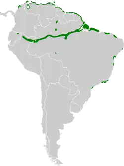 Distribución geográfica del conirrostro bicolor.