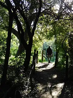 Foto de una persona realizando una caminata en un sendero en contacto con la naturaleza, en un espacio natural urbano. Bs. As. Mayo 2025