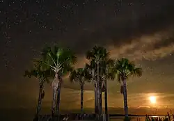 Vista del lago desde la orilla.