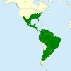 Mapa de la distribución del buitre negro americano. El color verde indica su presencia permanente.