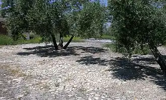 Era del cortijo de La Iglesia