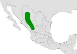 Coryphantha compacta