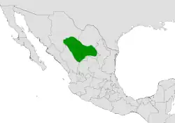 Coryphantha delaetiana