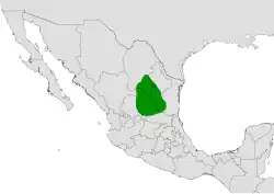 Coryphantha delicata