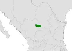 Coryphantha durangensis