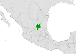 Coryphantha echinoidea