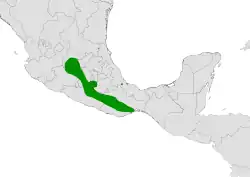 Coryphantha elephantidens