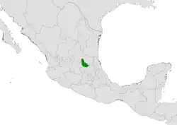 Coryphantha jalpanensis