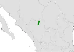 Coryphantha kracikii