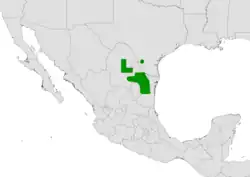 Coryphantha nickelsiae