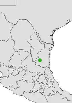 Coryphantha vaupeliana