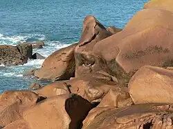 Costa de granito rosa después de la lluvia (detalle)